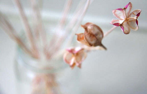 PinkPods