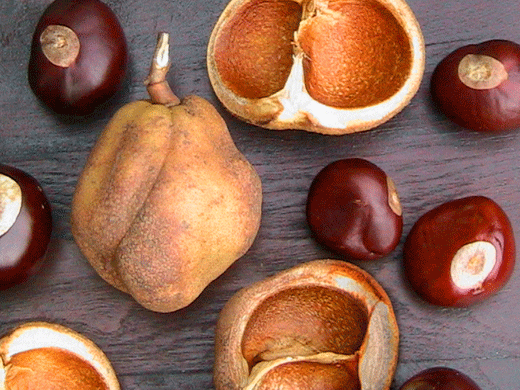 Buckeye