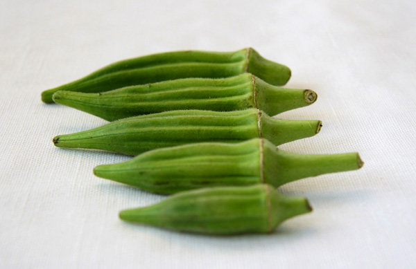 Okra
